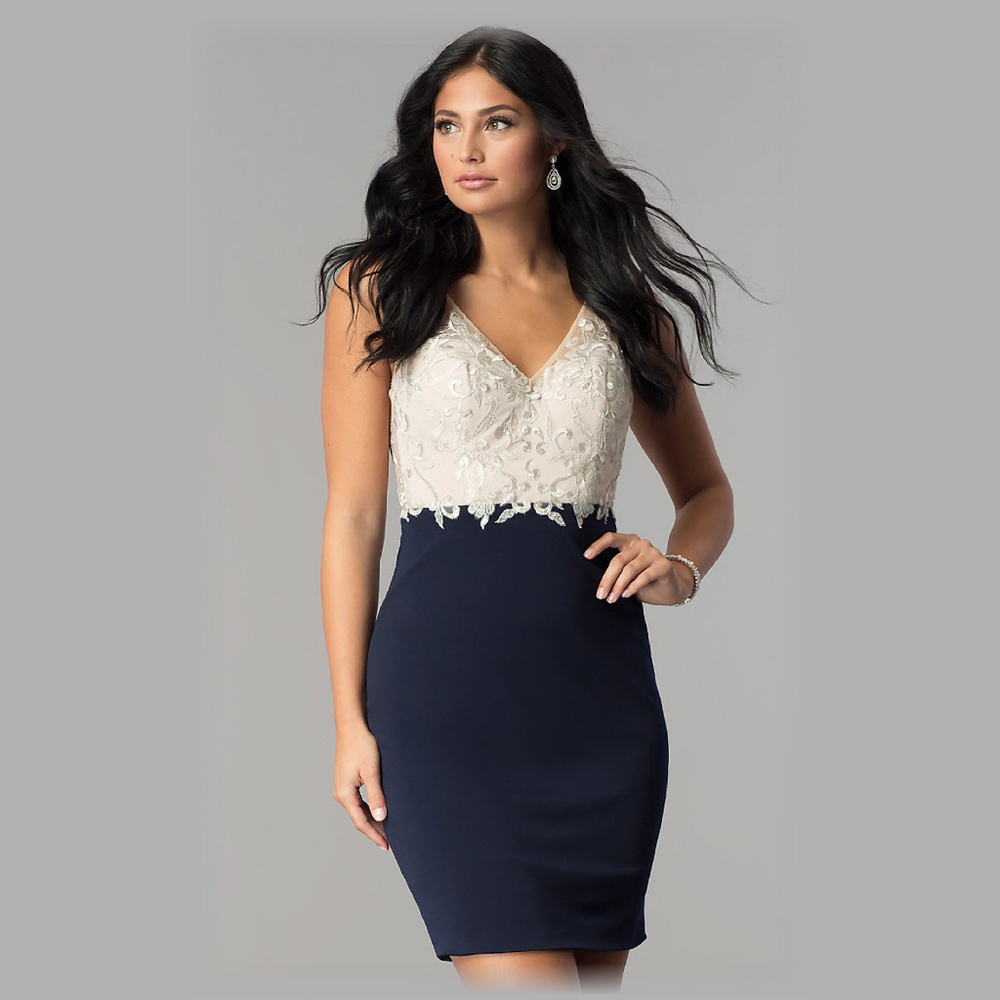 NWT Nude/Black Bodycon V-neck Dress Size 12